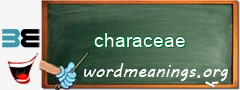 WordMeaning blackboard for characeae